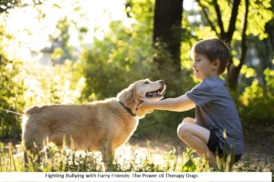 Therapy dogs in schools