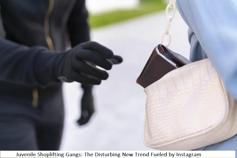 Juvenile Shoplifting Gangs