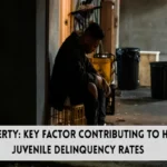 poverty and juvenile delinquency